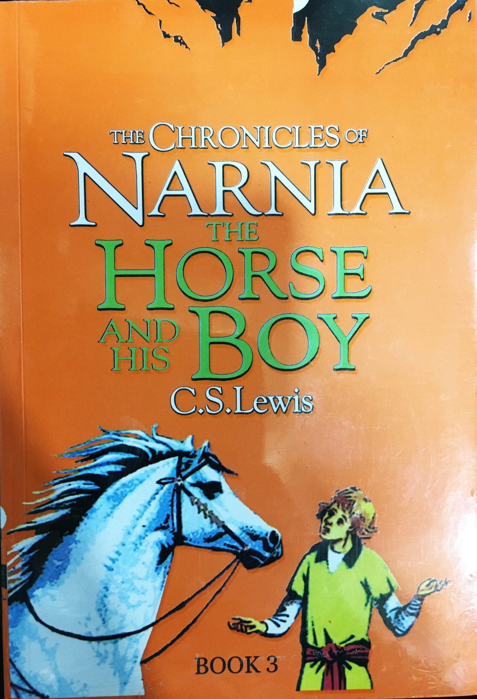 the chronicles of narnia the horse and his boy book